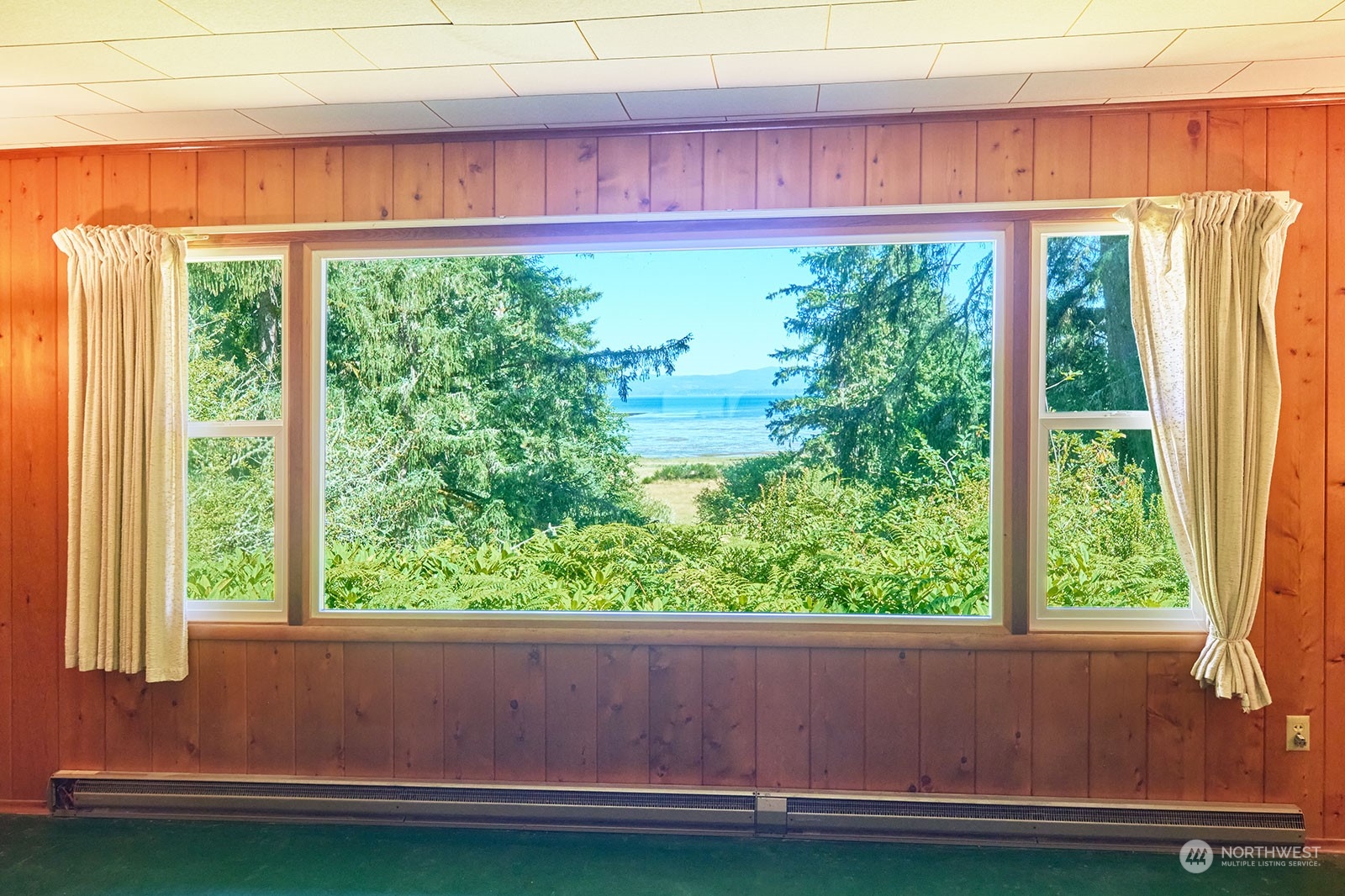 30708 Sandridge Road Ocean Park, WA 98640 - Photo 15 of 37 a view of backyard with a small cabin and a window