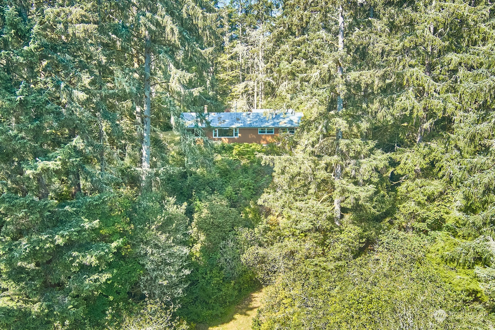 30708 Sandridge Road Ocean Park, WA 98640 - Photo 29 of 37 a view of a tree in a yard