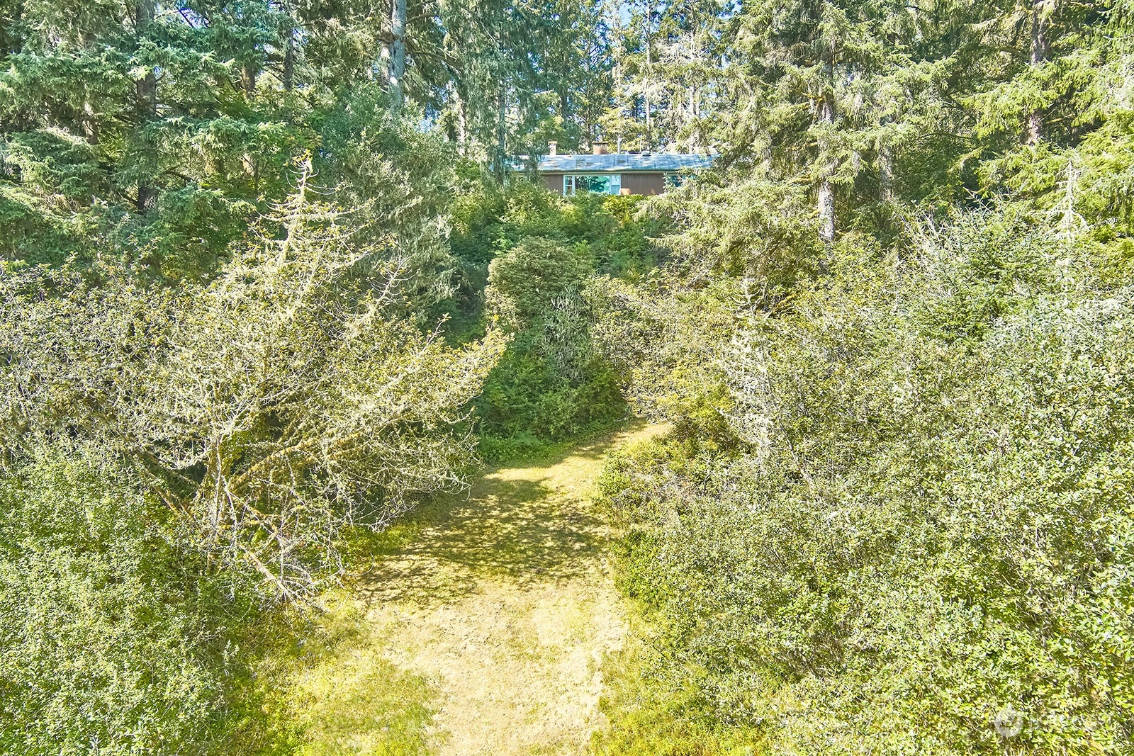 30708 Sandridge Road Ocean Park, WA 98640 - Photo 30 of 37 a view of a yard