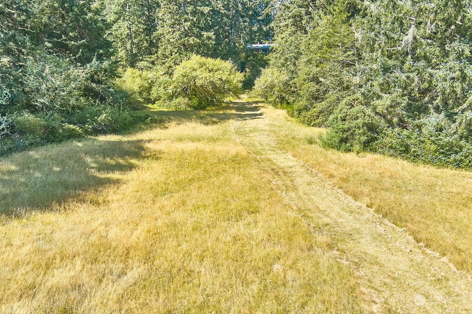 30708 Sandridge Road Ocean Park, WA 98640 - Photo 31 of 37 a view of yard with large trees