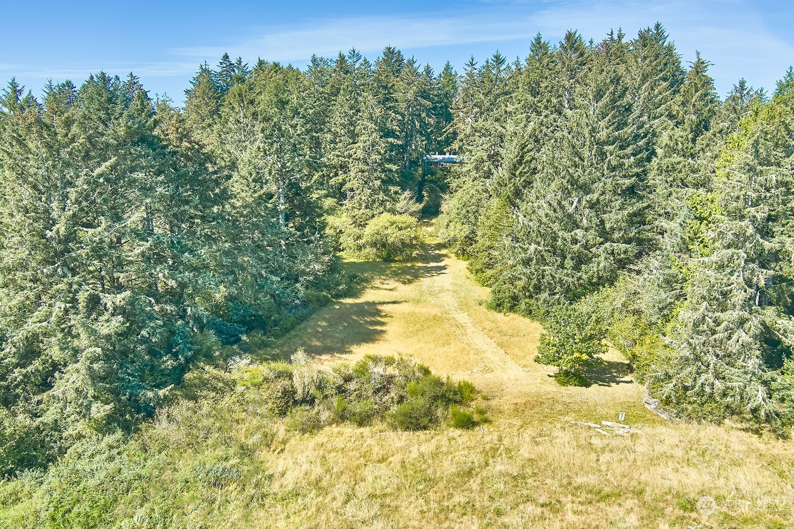 30708 Sandridge Road Ocean Park, WA 98640 - Photo 32 of 37 a view of yard with green space