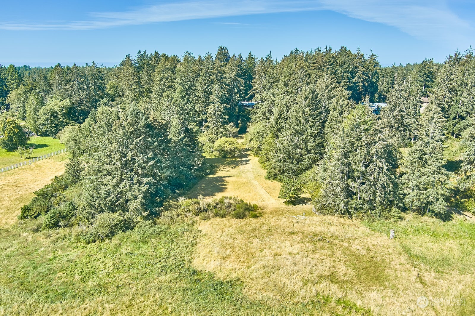 30708 Sandridge Road Ocean Park, WA 98640 - Photo 33 of 37 a view of a big yard with large trees