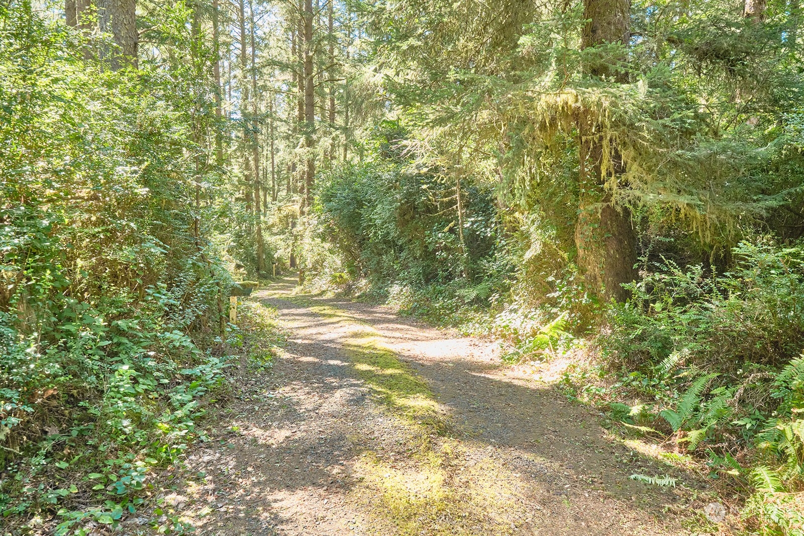 30708 Sandridge Road Ocean Park, WA 98640 - Photo 4 of 37 a view of a yard with a tree