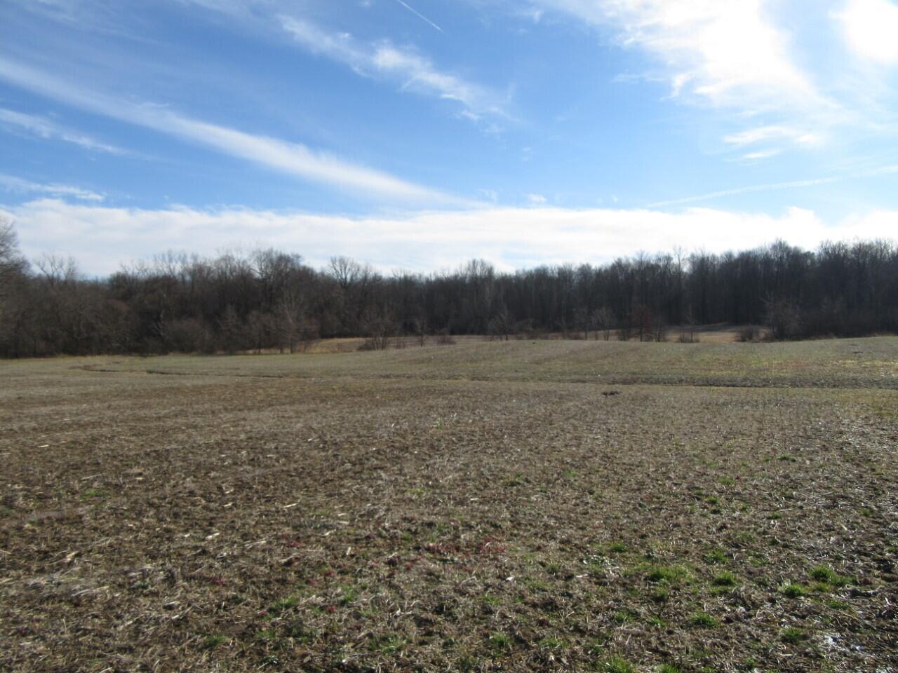 0 Riley Road Northwest, Unit 37 33 ACRES Johnstown, OH 43031 - Photo 10 of 11 Riley Road