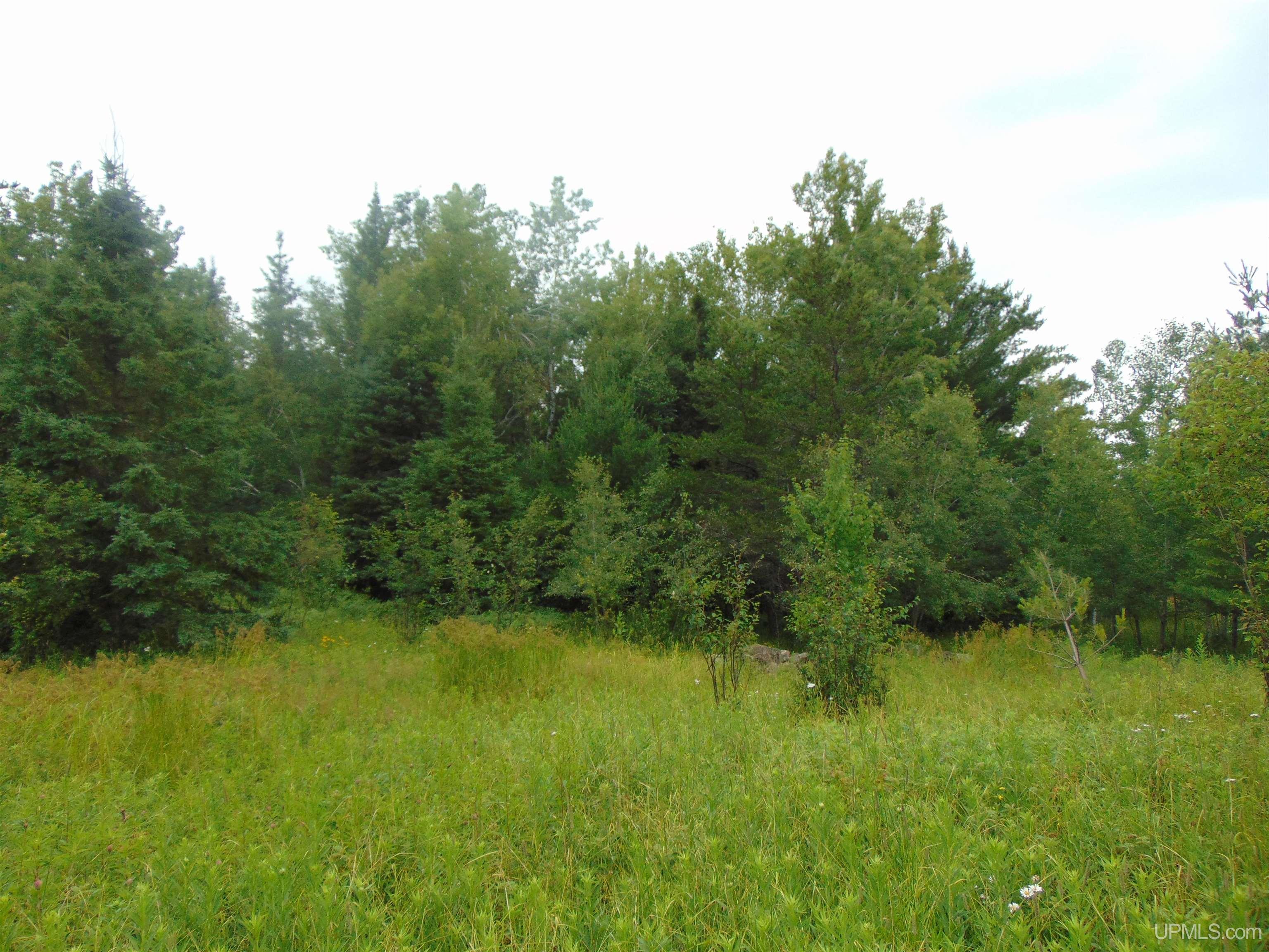 15 Grenlund Road Bruce Crossing, MI 49912 - Photo 14 of 18