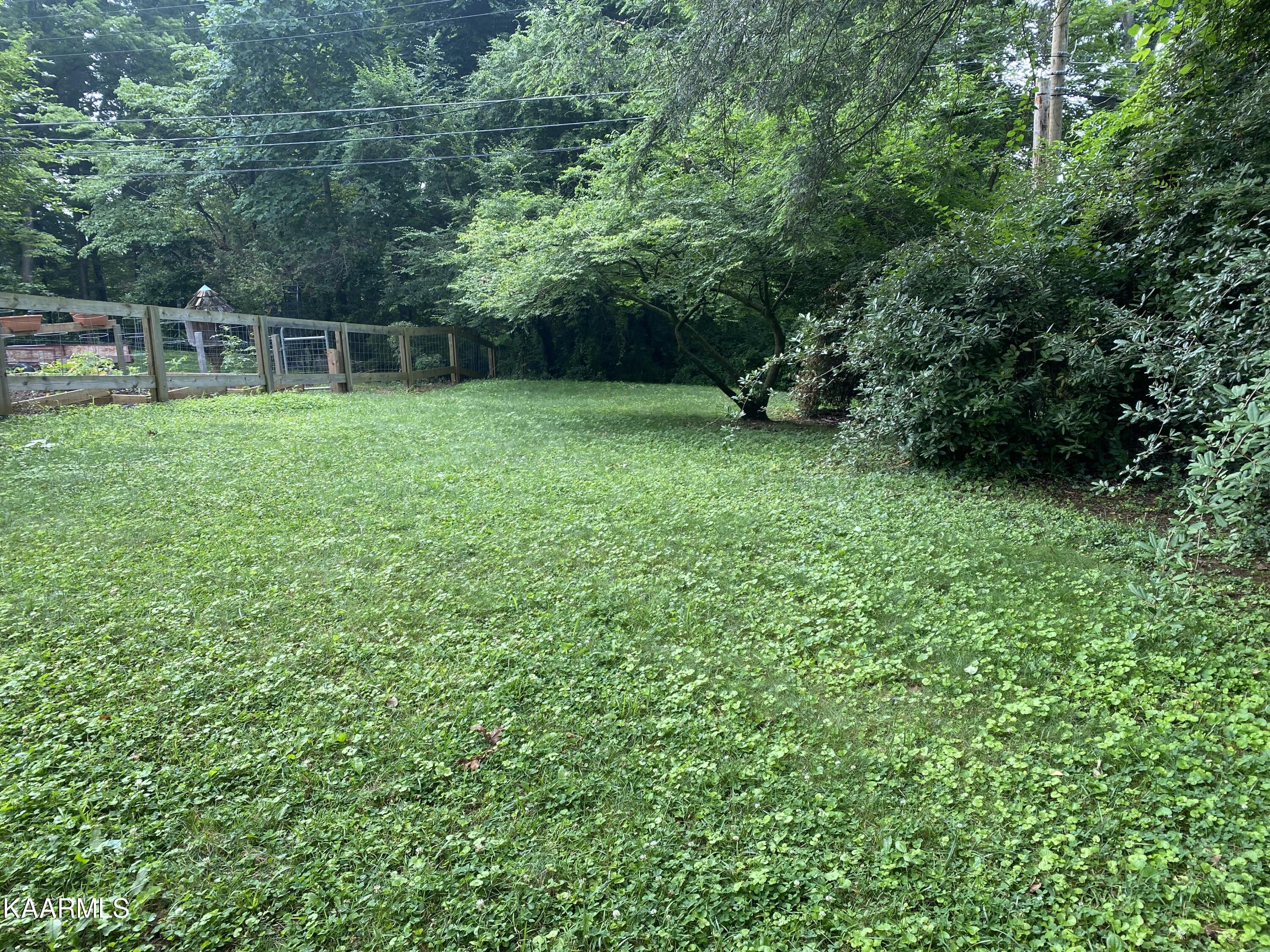 85 Pine Road Norris, TN 37828 - Photo 11 of 36 IMG_4091