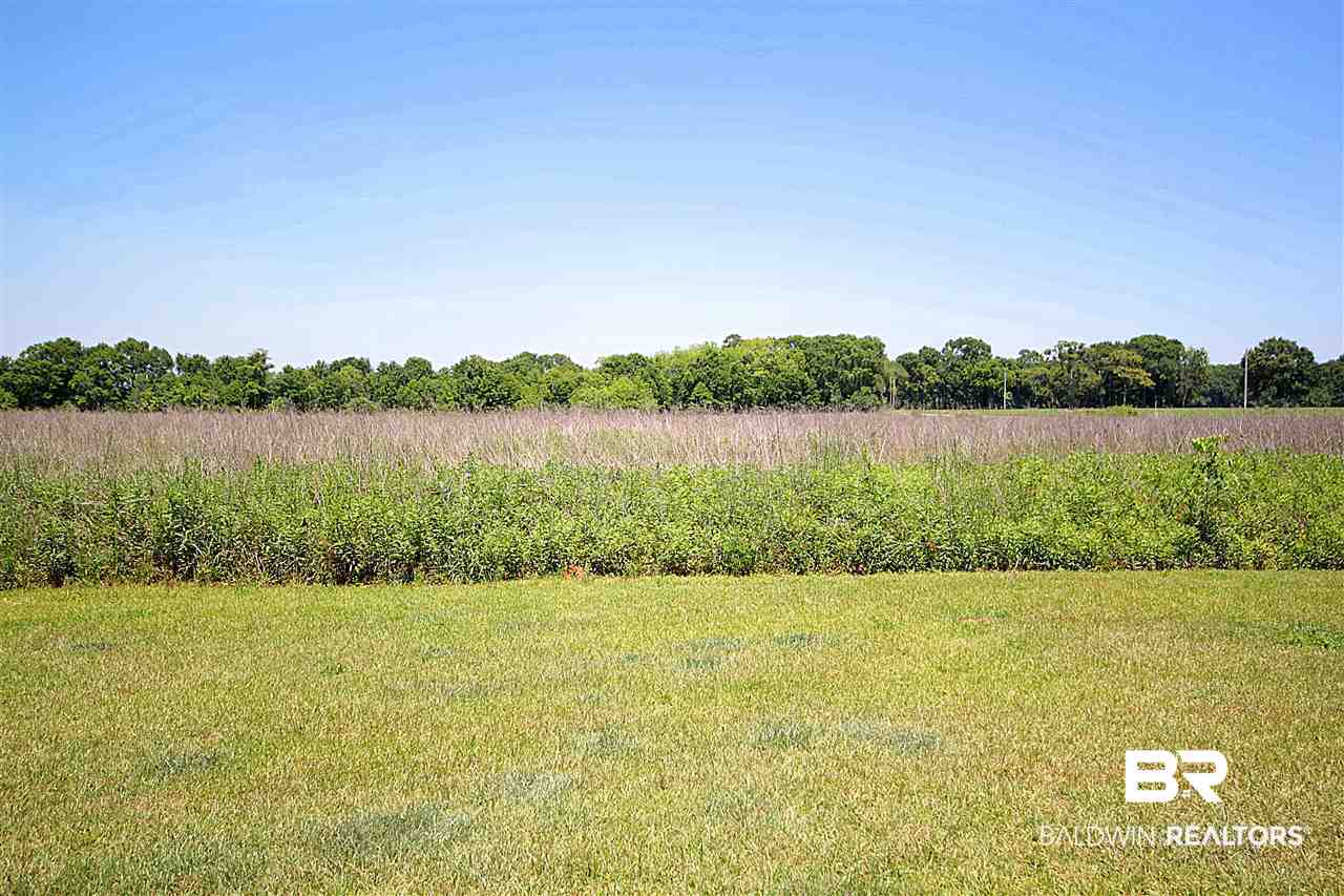 16945 Prado Loop Loxley, AL 36551 - Photo 9 of 31 Back Yard