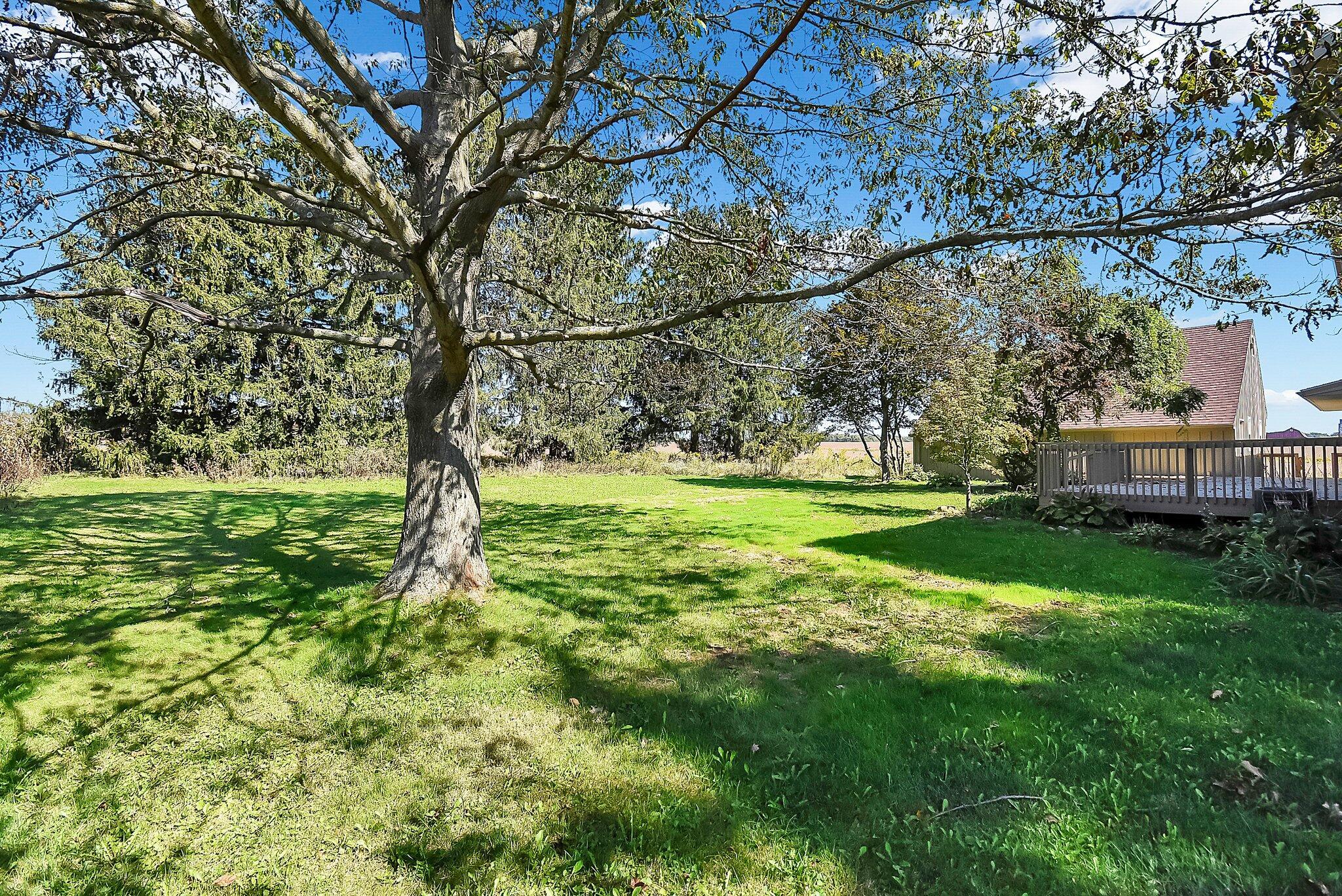 13061 Montgomery Road Fredericktown, OH 43019 - Photo 34 of 35 34-web-or-mls-13061-montgomery-rd