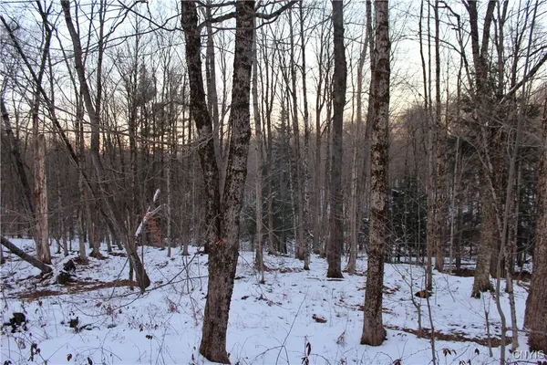 $130,000 | 11650 Creek Road, Unit 8, Annsville, NY 13471