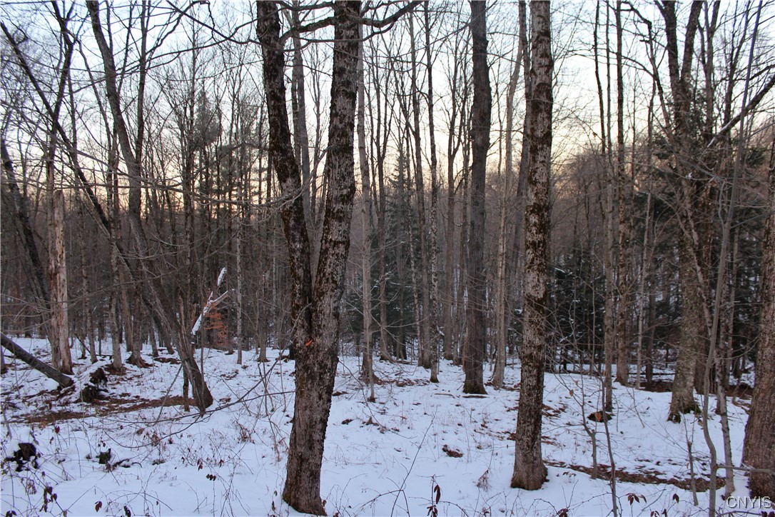 11650 Creek Road, Unit 8 Annsville, NY 13471 - Photo 16 of 19