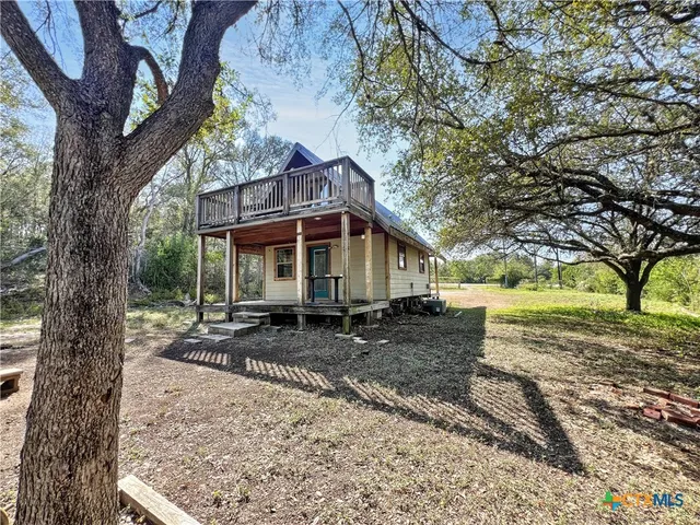 a view of a large trees with a tree in the background