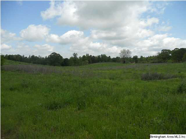 228 County Road, Unit 38 6 Lineville, AL 36266 - Photo 1 of 1