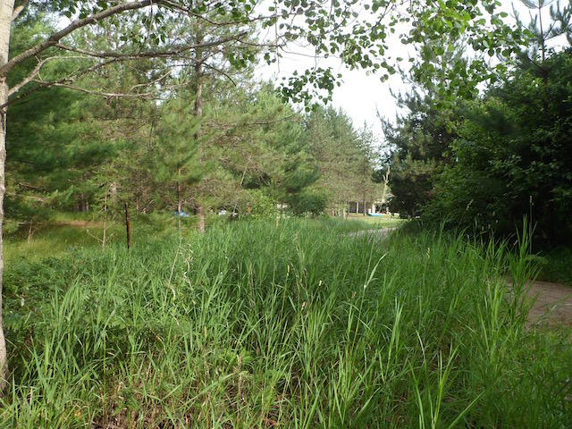 0 Mccollum Lake Road Curran, MI 48728 - Photo 10 of 10 Gallery Image 10