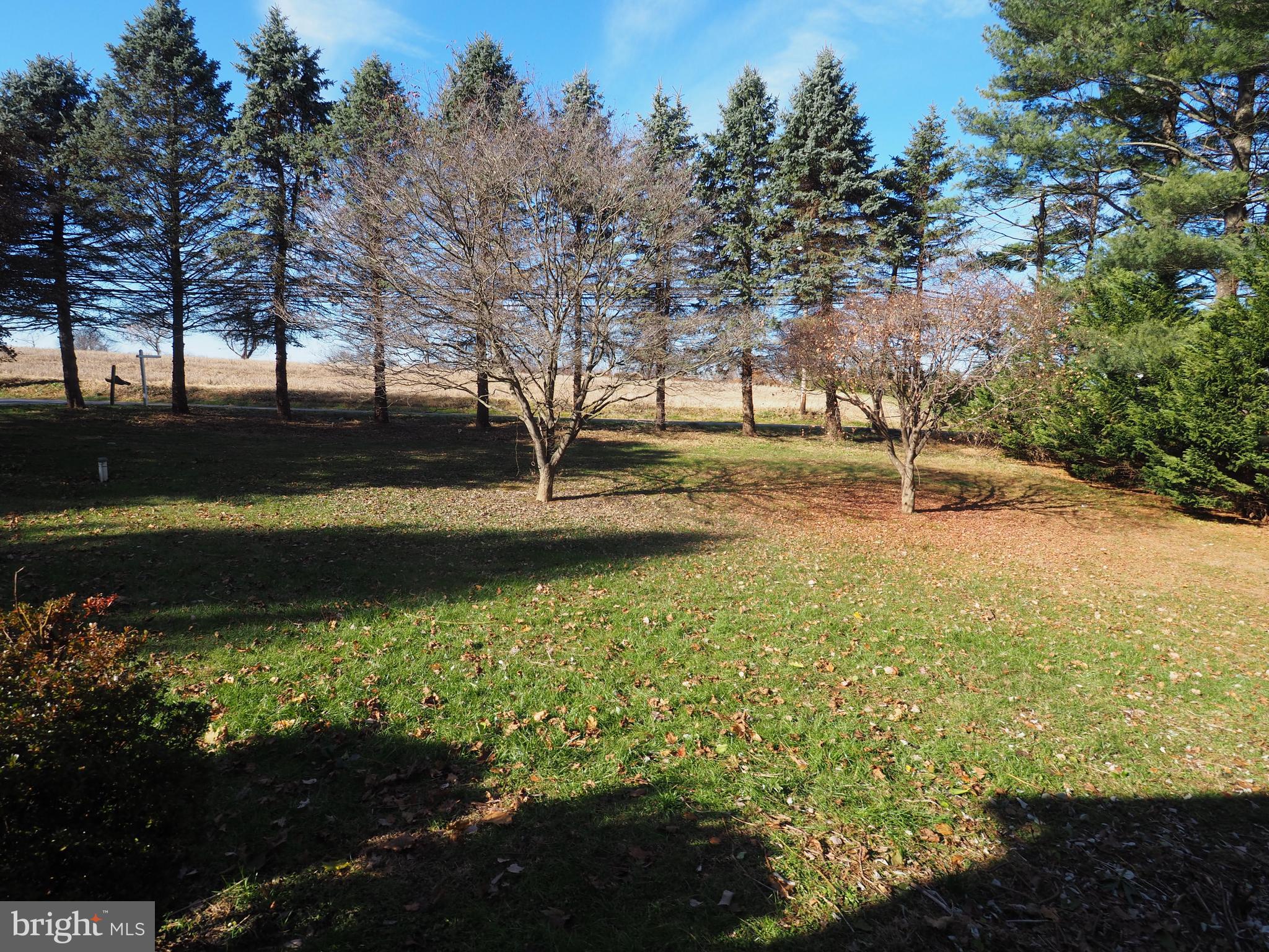 14005 Old Hanover Road Reisterstown, MD 21136 - Photo 4 of 26 Front Yard