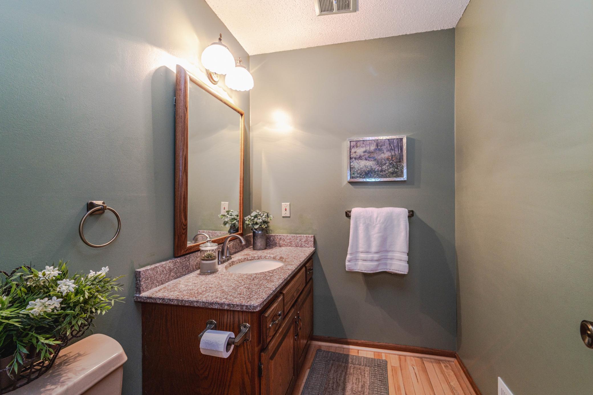 1138 Tiffany Point Eagan, MN 55123 - Photo 19 of 49