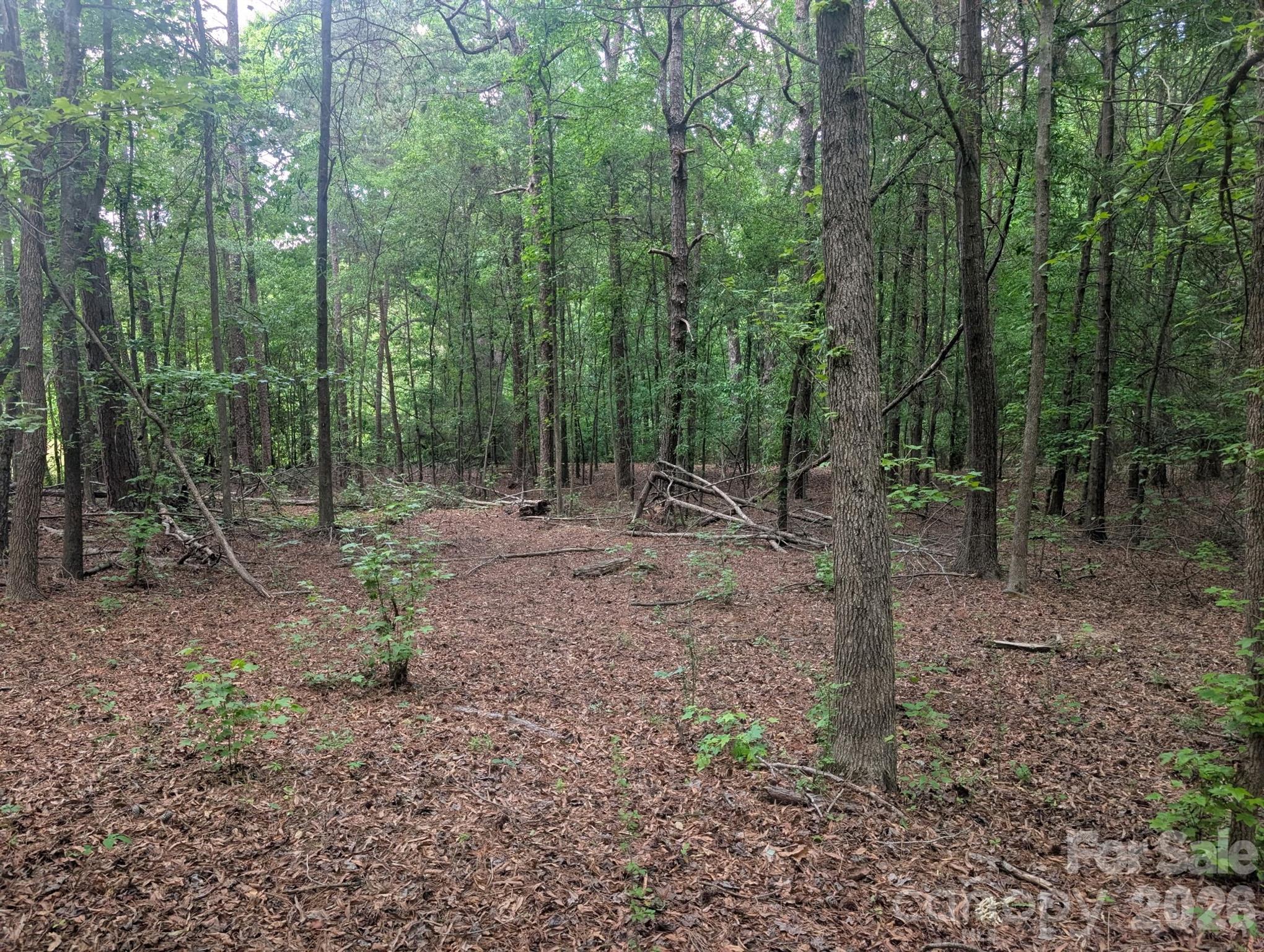 320 West Red Cross Road Oakboro, NC 28129 - Photo 2 of 7