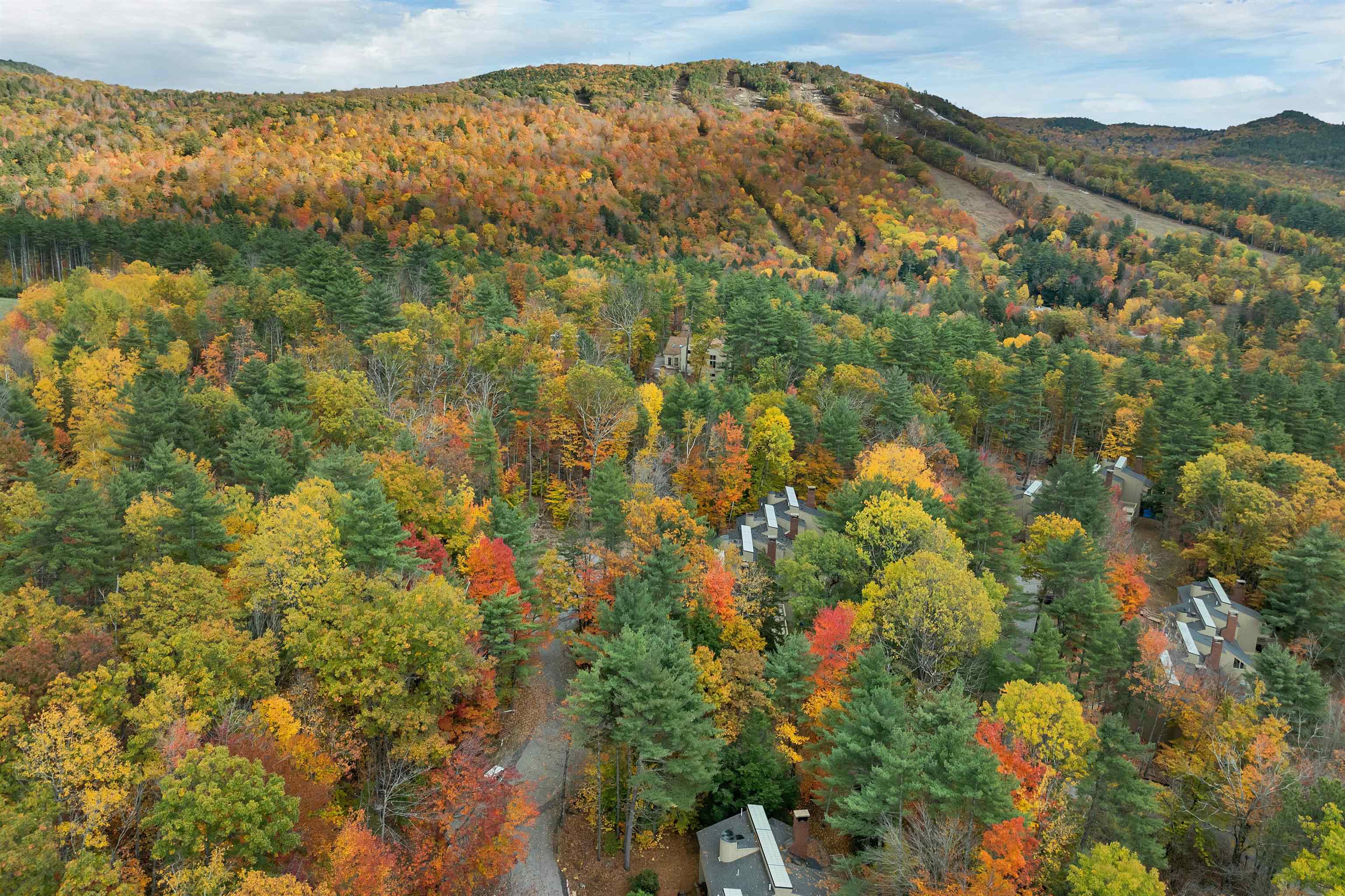 72 Cranmore Wds Lane, Unit 4 Conway, NH 03860 - Photo 1 of 60