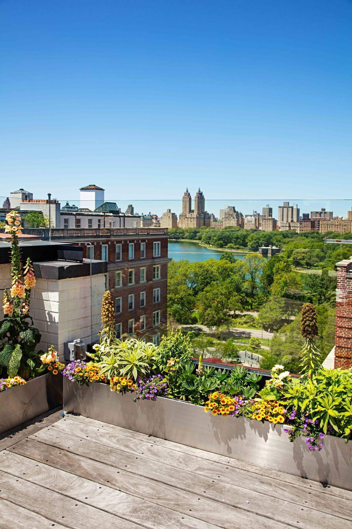 a view of a street with flower plants