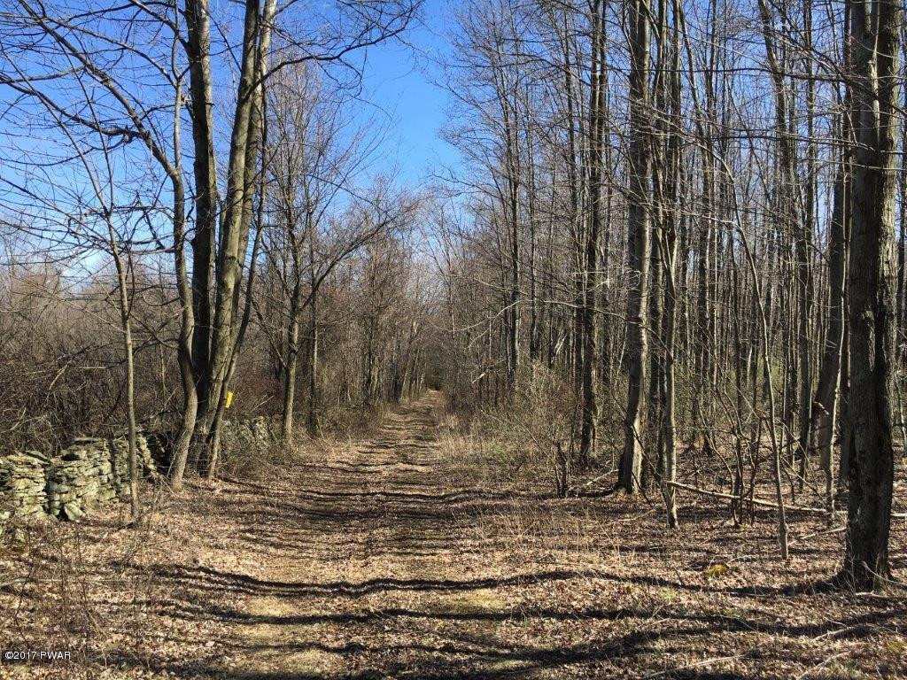 Lot L5 Sickler Pond Road Carbondale, PA 18407 - Photo 2 of 5