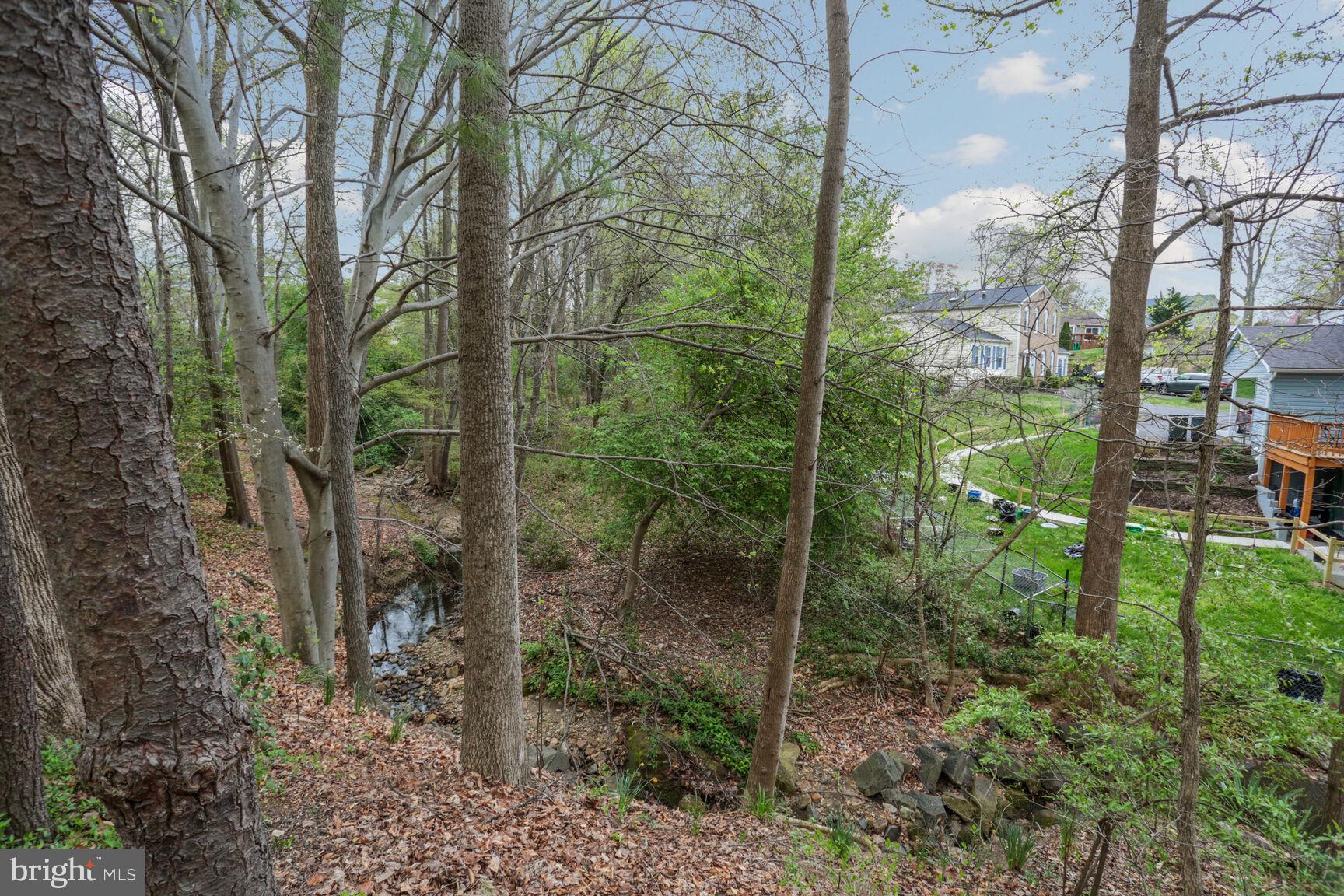 8092 Sleepy View Lane Springfield, VA 22153 - Photo 20 of 20 House backs to woods and stream