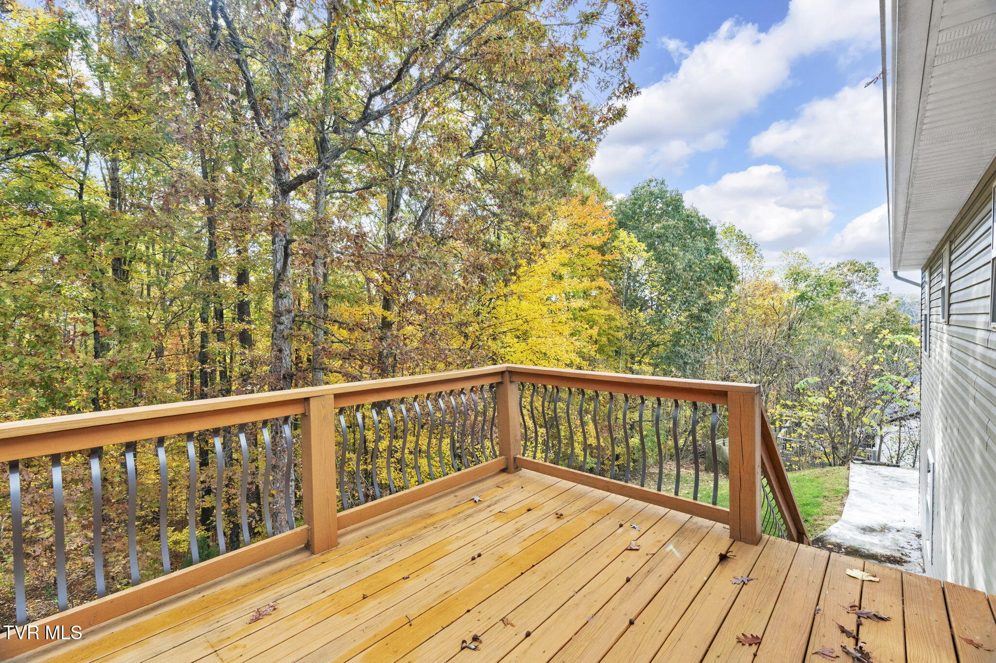 1125 Faye Street, Unit 11 Kingsport, TN 37660 - Photo 4 of 36 22-web-or-mls-DSC09822