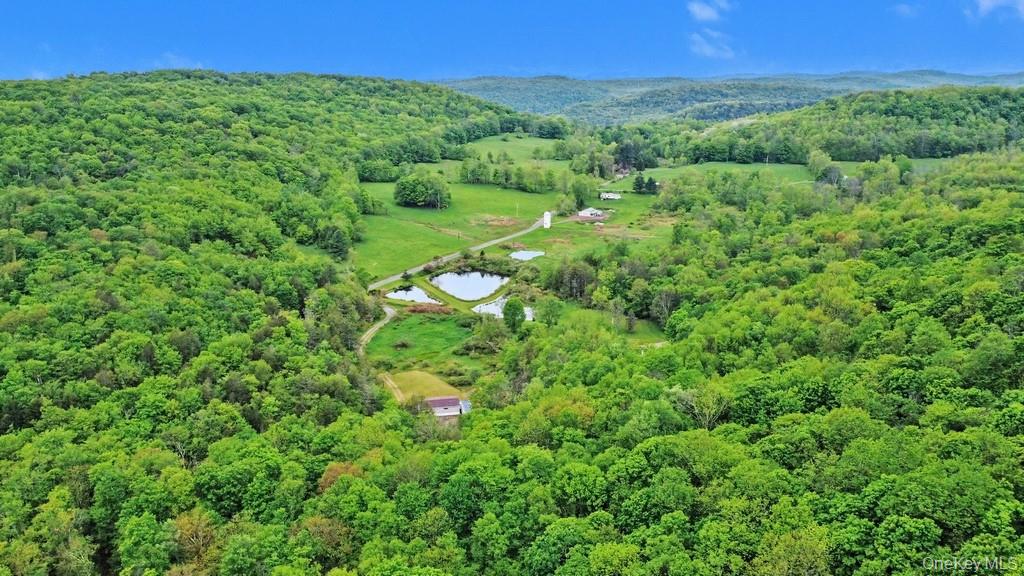 308 William Brown Road Fremont, NY 12741 - Photo 33 of 33 a view of a lush green forest with trees and some houses