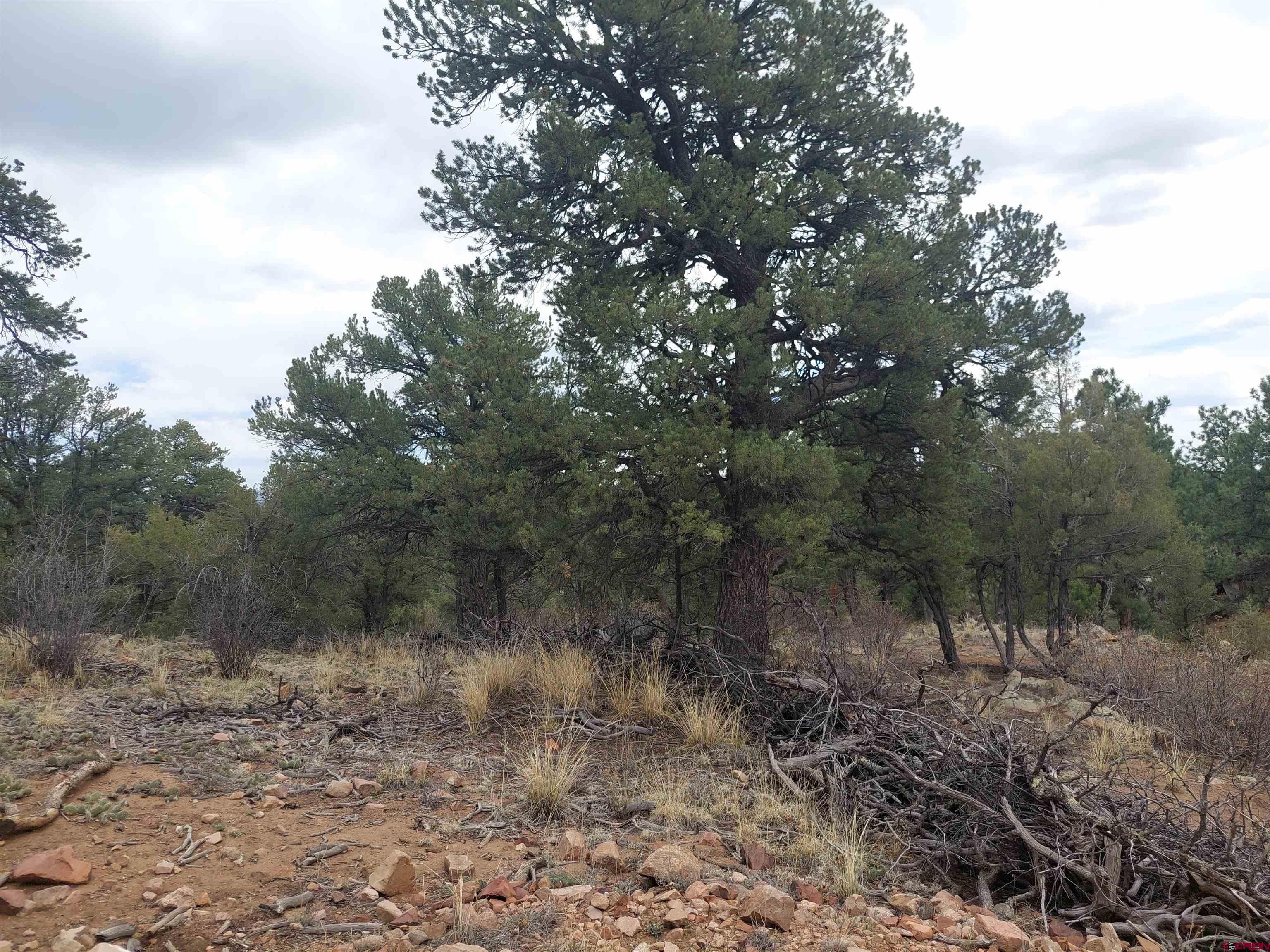 Tract-1 Tract-1 Q Path Cotopaxi, CO 81223 - Photo 20 of 22