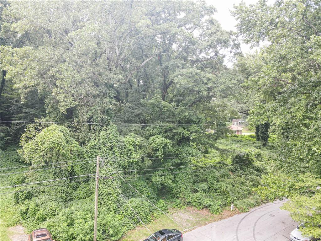 50 Spring Lane Northwest Atlanta, GA 30314 - Photo 2 of 4 a view of a forest with a tree