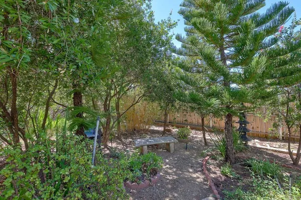 a view of outdoor space and tree
