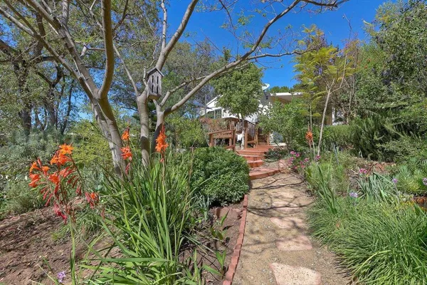 a view of path along with trees