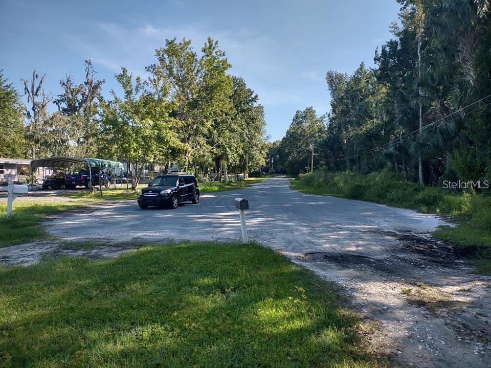 56544 Pecan Road Astor, FL 32102 - Photo 18 of 18 a view of a park with large trees