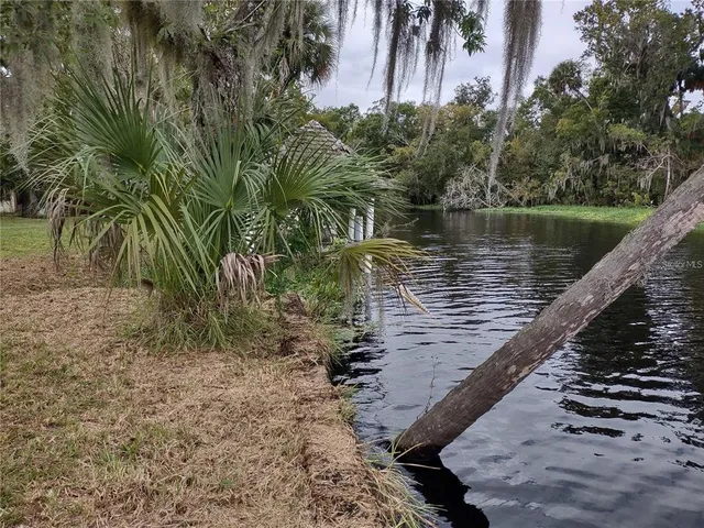 a view of a lake from a yard