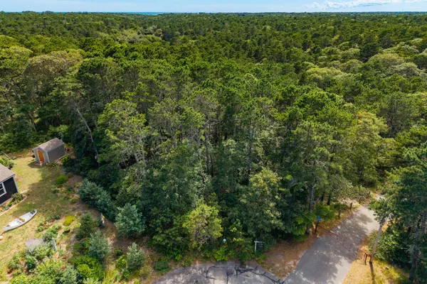 a view of a yard with plants