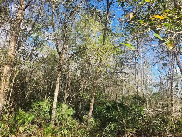 $245,000 | 2355 Highway 100, Starke, FL 32091