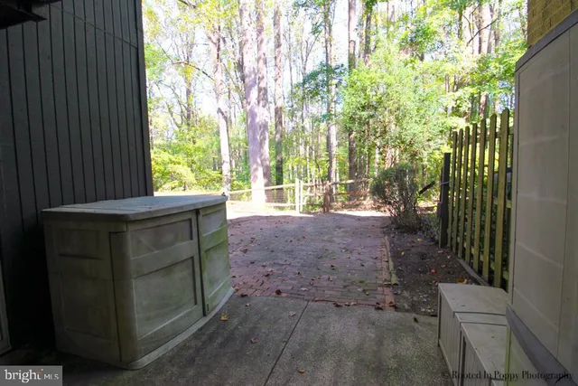 a view of a yard with plants and large trees