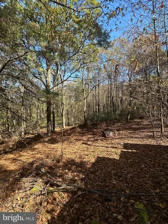 $345,000 | 74-75 Elm Drive, Catawissa, PA 17820
