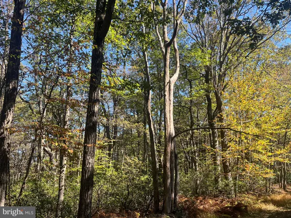 $345,000 | 74-75 Elm Drive, Catawissa, PA 17820
