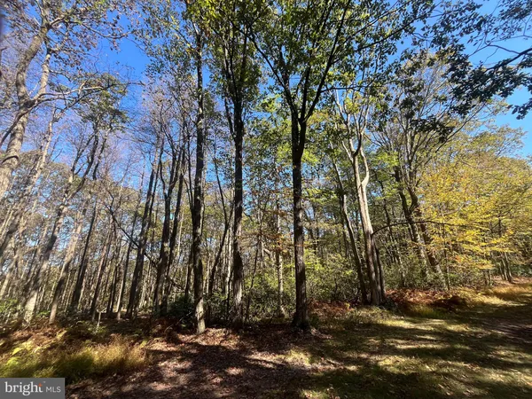 $345,000 | 74-75 Elm Drive, Catawissa, PA 17820