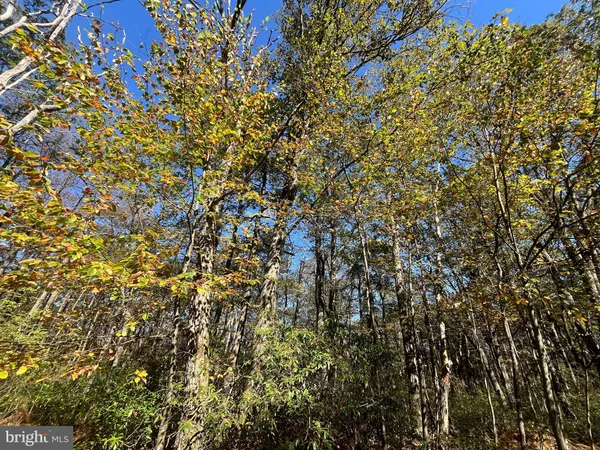 $345,000 | 74-75 Elm Drive, Catawissa, PA 17820