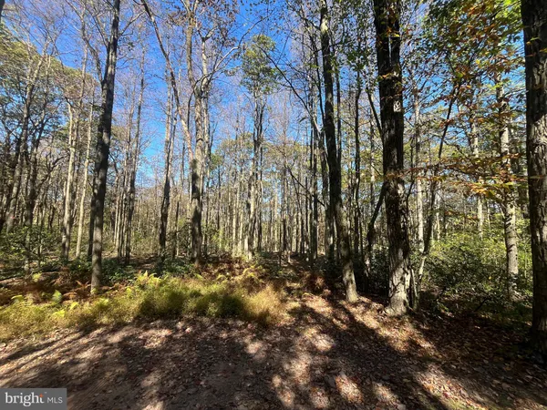 $345,000 | 74-75 Elm Drive, Catawissa, PA 17820