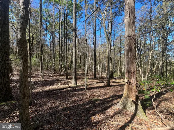 $345,000 | 74-75 Elm Drive, Catawissa, PA 17820