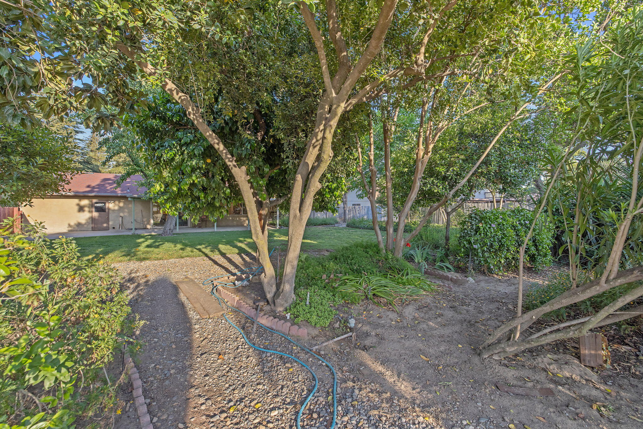 30955 Tower Road Visalia, CA 93292 - Photo 49 of 65 53-web-or-mls-713A5743