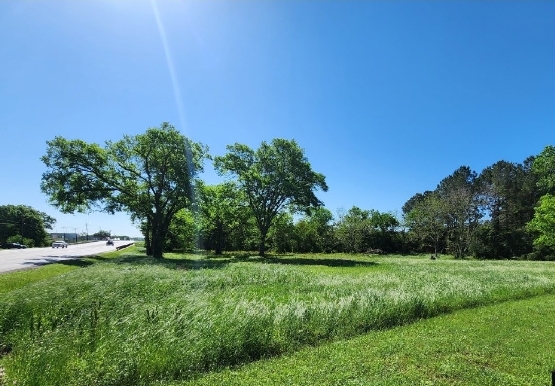 290 Hempstead Tx 77445 Hempstead, TX 77445 - Photo 2 of 8