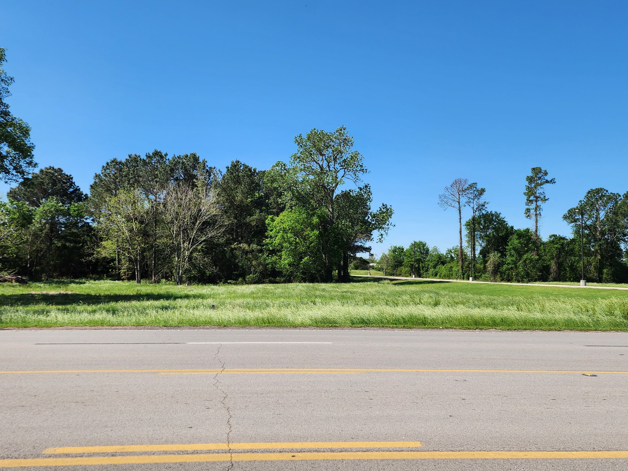 290 Hempstead Tx 77445 Hempstead, TX 77445 - Photo 5 of 8 a view of a park