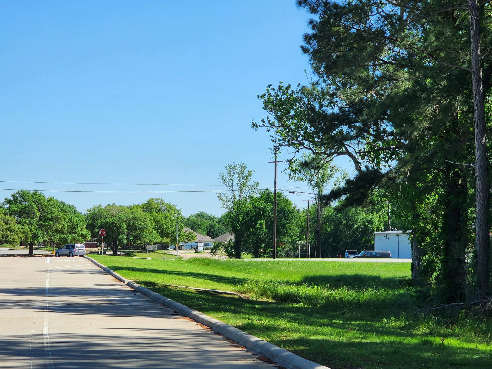 290 Hempstead Tx 77445 Hempstead, TX 77445 - Photo 6 of 8 a view of a yard with plants and large trees