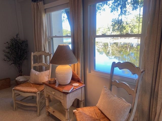 18 Canvasback Cove, Unit 122 Georgetown, SC 29440 - Photo 3 of 32 Sitting room featuring a water view and carpet flooring