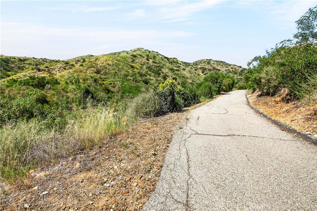 0 Opal Canyon Road Duarte, CA 91010 - Photo 11 of 15 a view of a large tree