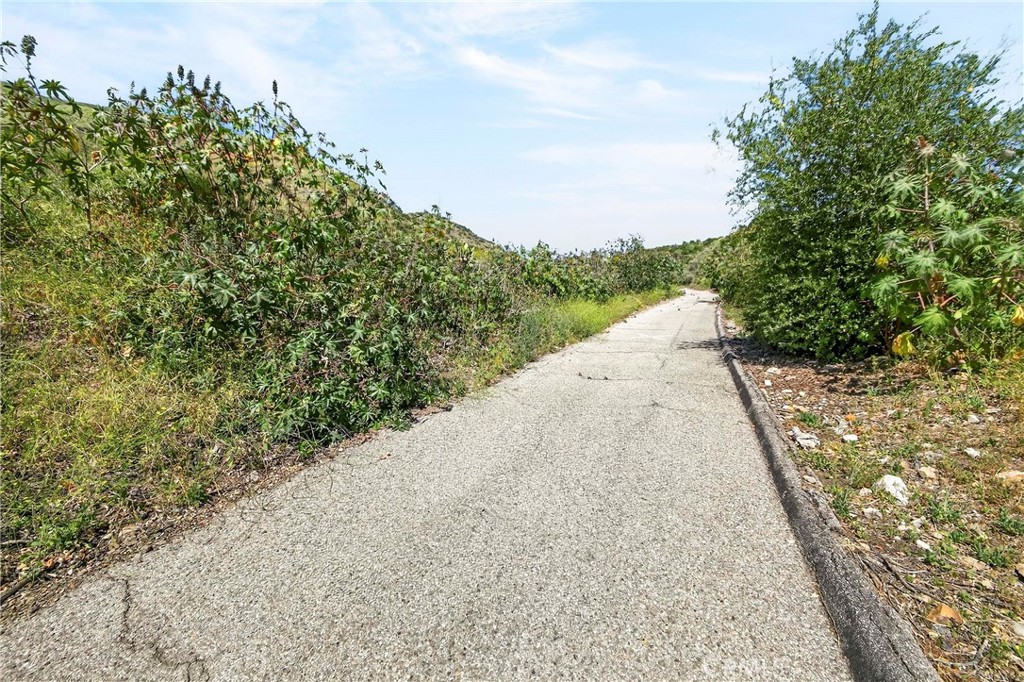 0 Opal Canyon Road Duarte, CA 91010 - Photo 8 of 15 a view of a dry yard with trees