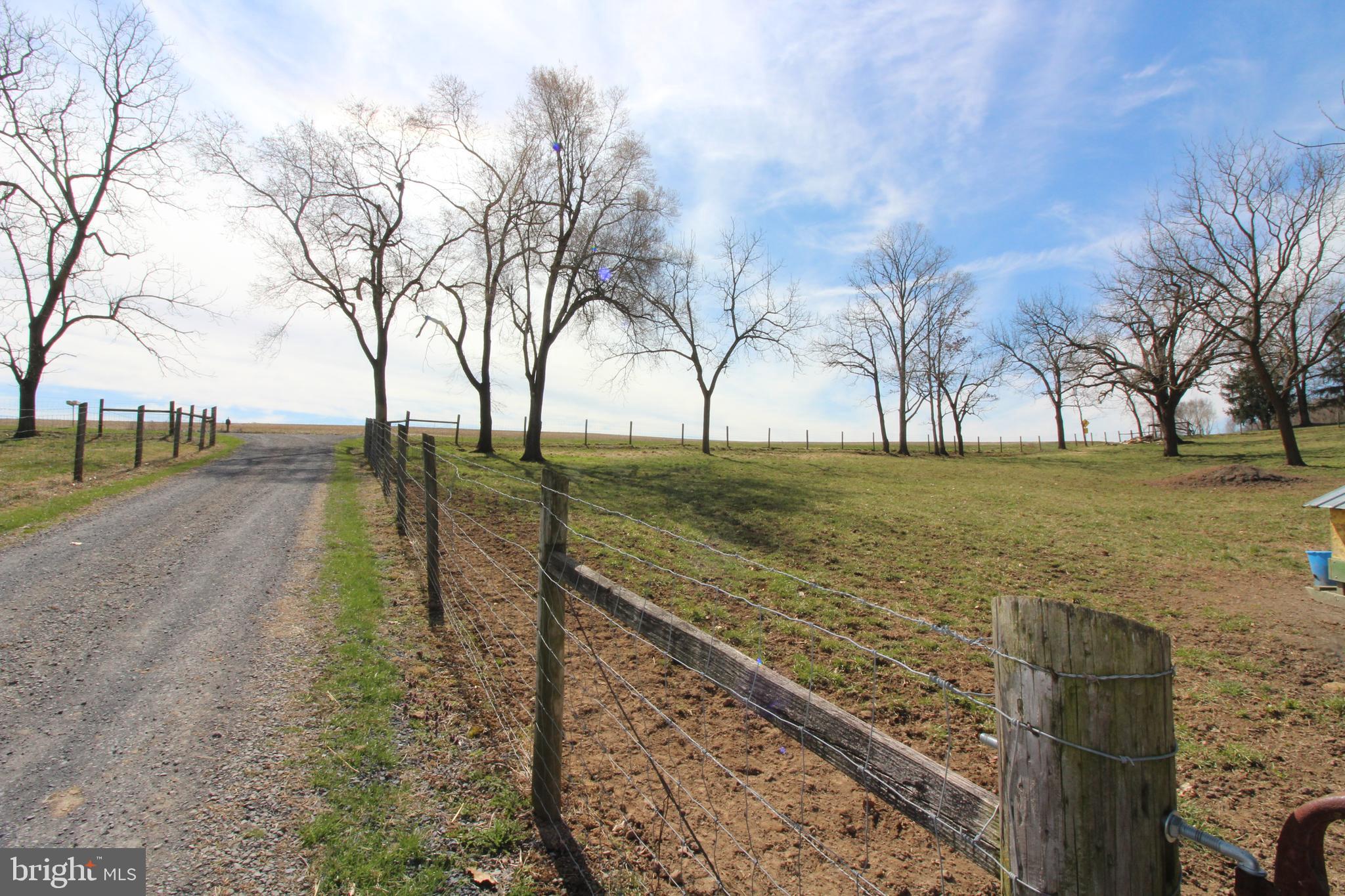 Georgetown Rd Mount Mount Jackson, VA 22842 - Photo 4 of 6