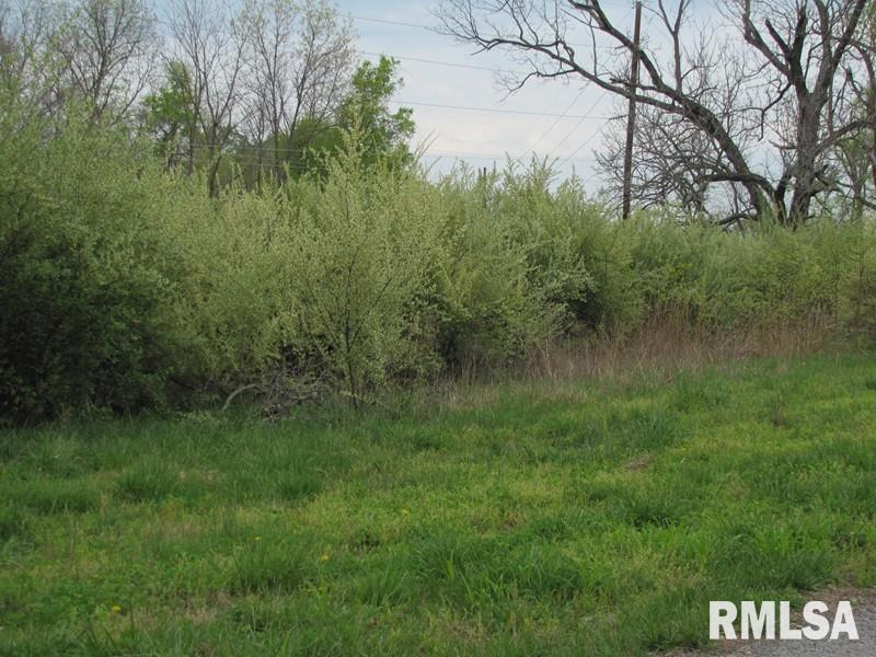 Tbd Tbd Tbd Rowan Road Makanda, IL 62958 - Photo 2 of 3